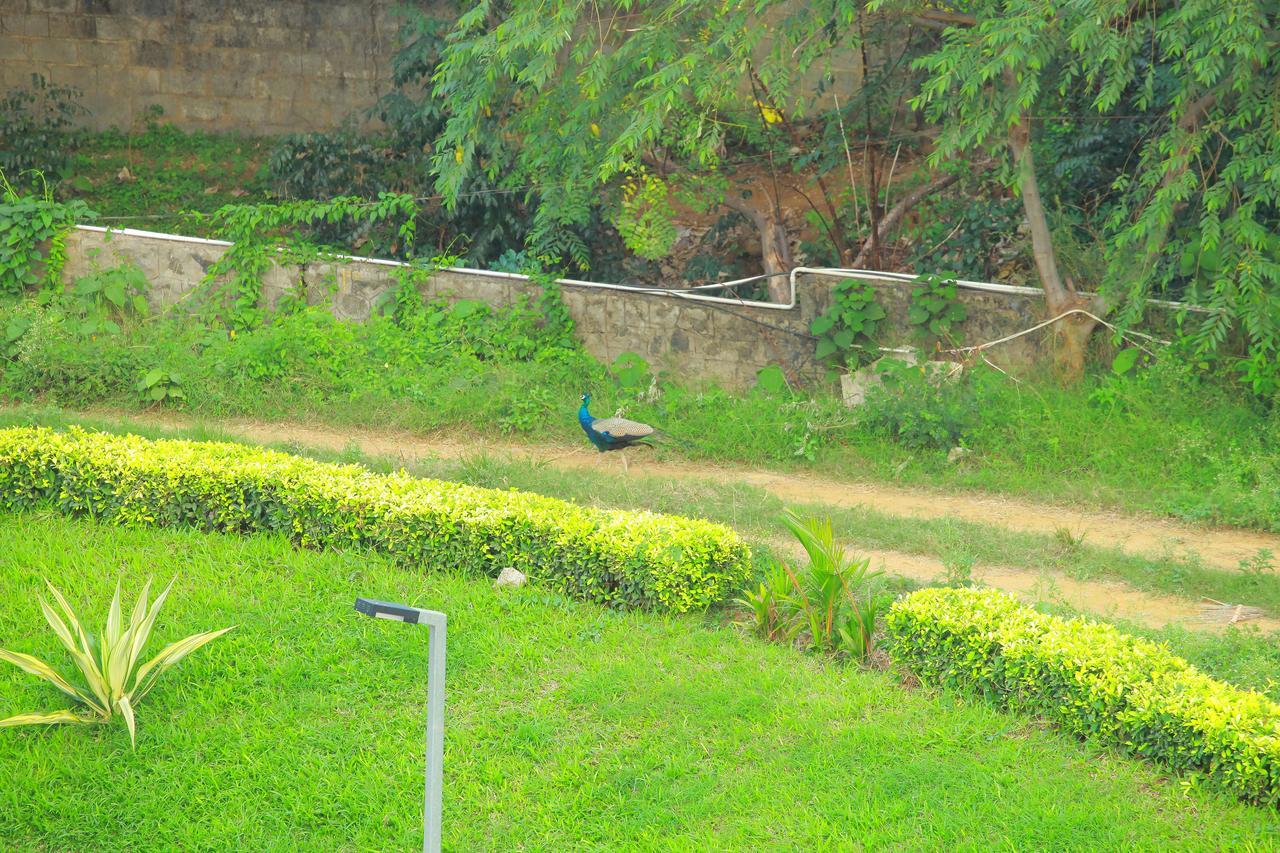 Five Falls Resort Kuttālam Buitenkant foto